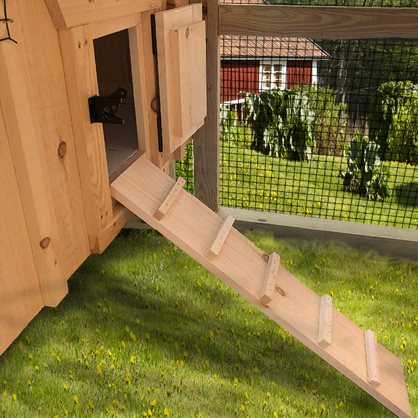 exterior view of chicken ramp and chicken door so chickens can exit coop