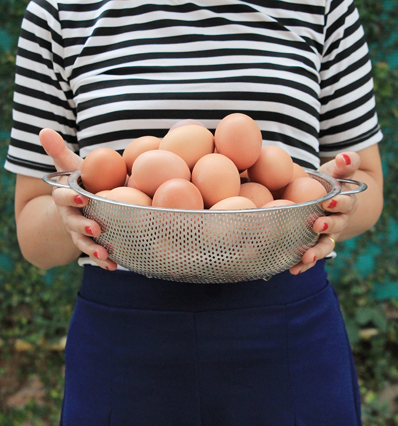 woman_holding_bowl_brown_eggs_blue_white_striped_shirt woman_holding_bowl_brown_eggs_blue_white_striped_shirt
